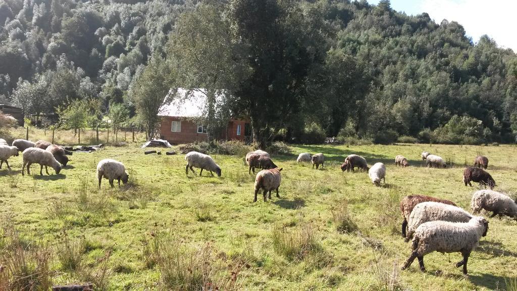 בית הארחה הורנופירן 	Cabana Raices Del Monte מראה חיצוני תמונה